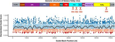 CRISPR-Cas13d Exhibits Robust Antiviral Activity Against Seneca Valley Virus